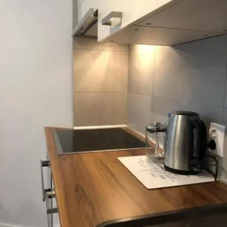 Loft Aprtament Lejlighed Piła