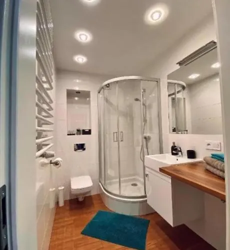 Loft Aprtament Apartment *